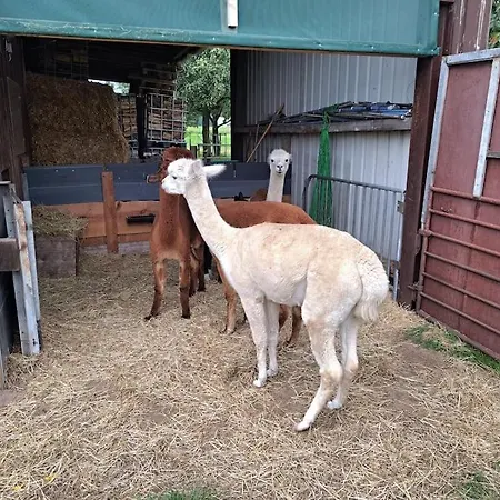 Apartment Bergherz Ruhe + Pur