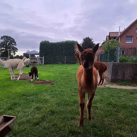 Bergherz Ruhe + Pur Reken