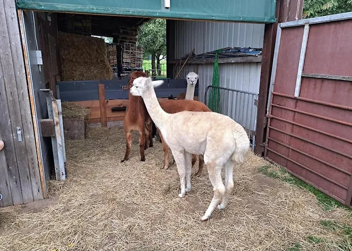 公寓 Bergherz Ruhe + Pur