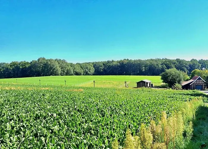 Bergherz Ruhe + Pur 公寓 Reken