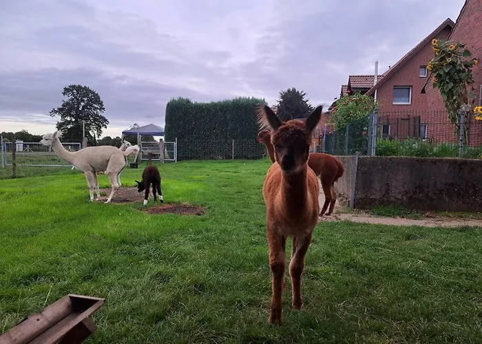 Bergherz Ruhe + Pur Reken